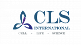 CLS CLS