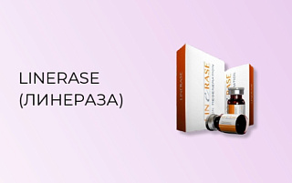 Linerase (Линераза) фото: купить в интернет-магазине Filleronline.ru Linerase (Линераза) фото: купить по низкой цене